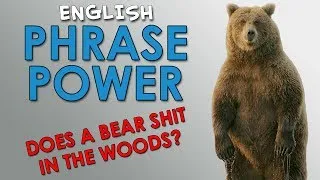 Phrase Power - 2 - Does a bear shit in the woods? - How to Sound Like Native English Speakers