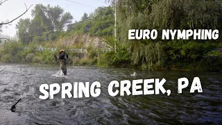 Spring Creek, PA (Fly Fishing for Wild Browns) 2023