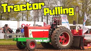 Bauer und Lehrling beim Tractor Pulling