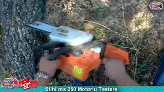 Stihl Ms 250 Odun Motoru - Uzun Kullanım Testi ve İnceleme - Tarlada Odun Kesim Performansı