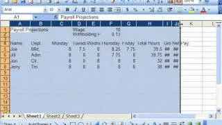 Excel 2003 Tutorial AutoFitting Column Width & Row Height Microsoft Training Lesson 6.3