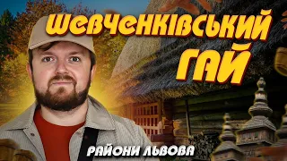 ШЕВЧЕНКІВСЬКИЙ ГАЙ: День після обстрілів | Райони Львова #ЛьвівЯЛюблюТБ