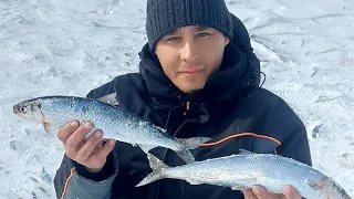Первая рыбалка на Байкале.