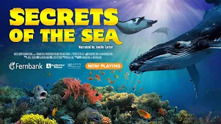 Secrets of the Sea