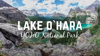 Lake O’Hara: Backcountry Paradise in the Canadian Rockies