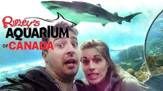 RIPLEY'S AQUARIUM of CANADA TOUR!!!! (Fish Murder Too!!!) Toronto, Ontario