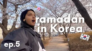 un jour bien normal à Séoul 🌸[Ramadan series - ep.5]