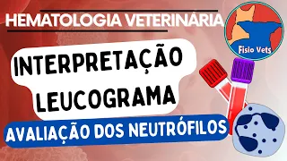 Hemograma | Leucograma - Resposta dos neutrófilos - Patologia clínica veterinária