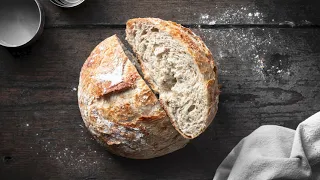 The Easiest No-Knead Whole Wheat Bread