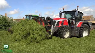 New Massey Ferguson 8S205 Buckraking