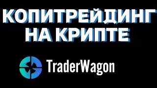 TraderWagon - ОБЗОР И ПОИСК НАДЕЖНЫХ ПОРТФЕЛЕЙ