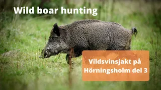 Vildsvinsjakt på Hörningsholm del 3 - Det bästa från svensk jakt 2019