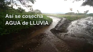 Keyline Cosecha de Agua de lluvia para agricultura  y cosecha de agua de lluvia para consumo humano