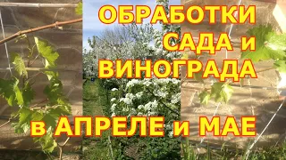 НЕОБХОДИМЫЕ ОБРАБОТКИ САДА и ВИНОГРАДА ВЕСНОЙ