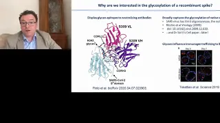 Plenary Speaker: The Glycan Shield of Enveloped Viruses: from HIV to SARS-CoV-2