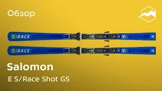 Горные лыжи Salomon E S/Race Shot GS. Обзор
