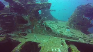 Ship Wreck in Tioman