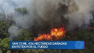 Petén es afectado por ola de calor y por más de 70 incendios forestales