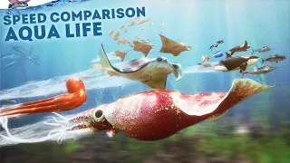 SPEED COMPARISON 3D | Aqua Life 🐠