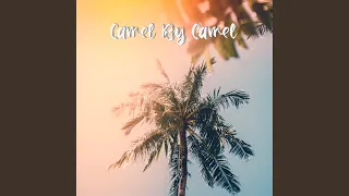 Camel by Camel (Sped Up)