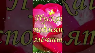 с 8 марта дорогие женщины. #song #sohrts