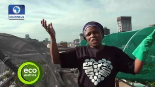 Eco@Africa: South Africans Are Transforming Roofs Into Gardens