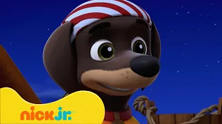 Patrulha Canina | Melhores Momentos da 9ª Temporada de Patrulha Canina! 🐶 (Parte 3) | Nick Jr.