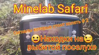 Поиск с Minelab Safari Сигналы которые стоит копать 2 .