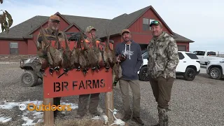 Hunt with Utah Family that Farms for Wild Pheasants