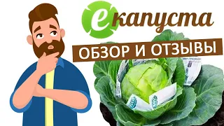 ЕКАПУСТА - отзывы и обзор МФО по выдаче онлайн займов