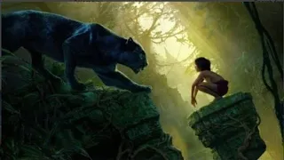 Mowgli's Discovery 🐅🐅🐅 | Jungle Book Adventures 🐅🐅🐅 | The Colorful Jungle Family 🚒🚒🚒 #tales #cartoon