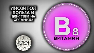 Инозитол (Витамин B8). Польза и действие на организм.