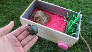 Build Baby TURTLE Dream Pond!! **$500 Challenge**