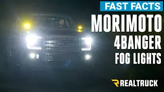 Morimoto 4Banger HXB LED Fog Lights Fast Facts