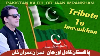 Pakistan Ka Dil Our Jaan Imran khan ll PTI New Song 2022 ll #imrankhan #TributeToImrankhan