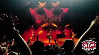 GLYCERINE (2019 REVOLUTION TOUR LIMA PERU) BUSH STONE TEMPLE PILOTS BEST HITS