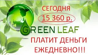 Платит ли Гринлиф? ПЛАТИТ!! Сегодня 15360 р. Маргарита Гордиенко #GREENLEAF #GREENLEAFКрым