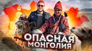 ОПАСНАЯ МОНГОЛИЯ или сибиряк  как дома