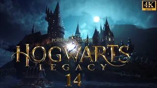 Hogwarts Legacy Gameplay Deutsch 14 - Im Schatten des Anwesens