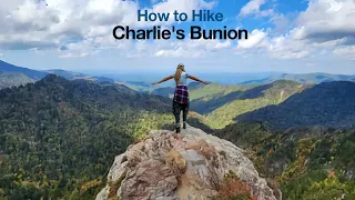 Charlies Bunion (Smoky Mountains) Trail Guide