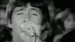 Wild Thing  - The Troggs