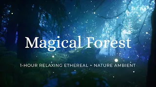 Magical Forest Ambience & Ethereal Female Vocals for Tranquil Journey | Soundspiring 🌳🎶 (1 Hour)
