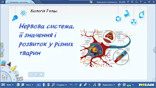 Біологія 7 клас Нервова система, її значення і розвиток у різних тварин