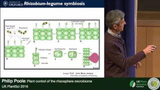 Philip Poole. Plant Control of the Rhizosphere Microbiome