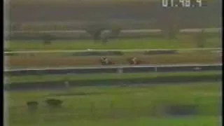 MISILERO - 1989 Gran Premio Jockey Club del Perú [2400 mts.]
