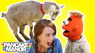 ON THE FARM | Baby Goats and Animals Song for Kids | PANCAKE MANOR