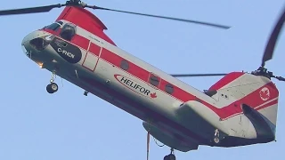 Boeing Vertol 107-II Scooping Water with Bambi Bucket