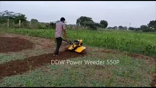 DDW Power Weeder DDWPW550P 1