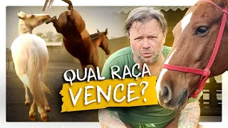 QUARTO DE MILHA VS MANGA-LARGA QUAL O MELHOR CAVALO? | RICHARD RASMUSSEN