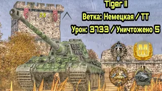 Tiger II (3733 урона, 5 уничтожено) / Wot Blitz Replay